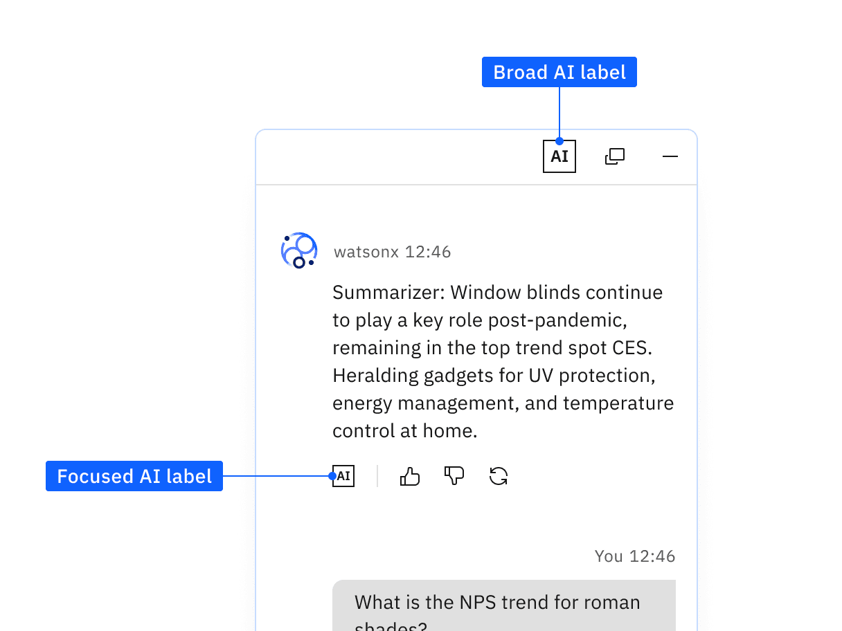 Example of a broad AI label instance
